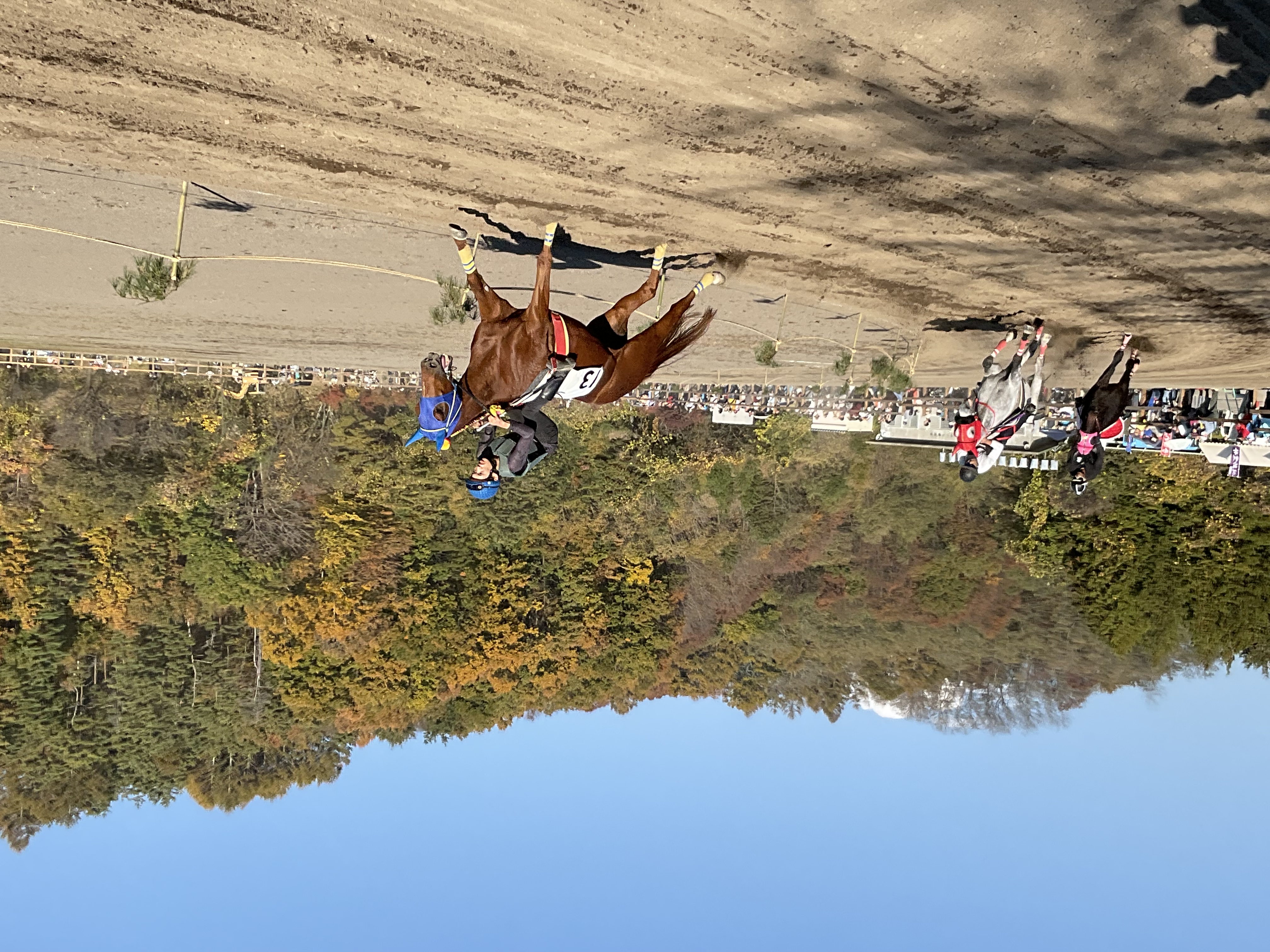 5年振り✨ 望月駒の里 草競馬大会 | 長野県佐久市｜総合建設業｜株式