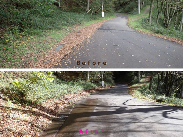 第4回アダプトシステムで清掃した道路のビフォーアフター画像