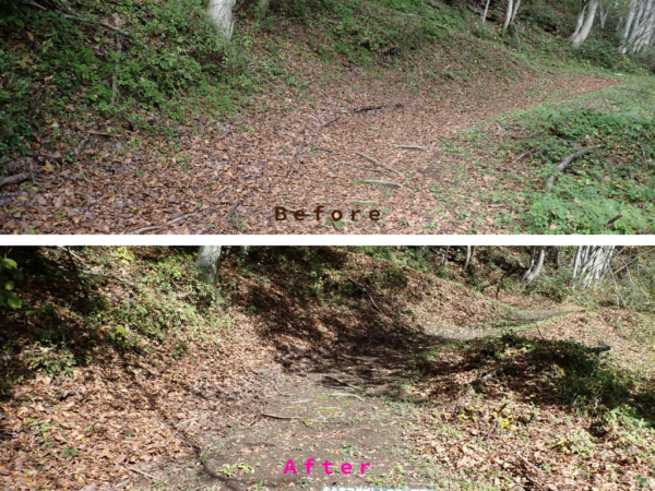 第4回アダプトシステムで清掃した道路のビフォーアフター画像