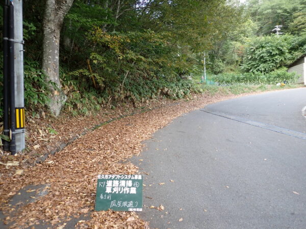 第4回アダプトシステム開催。作業前の落ち葉たっぷり道路に広がっている様子の画像