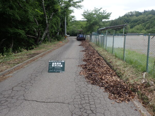 第一回アダプトシステムの前作業にて、道路脇の大量の落ち葉が広がっている様子の画像